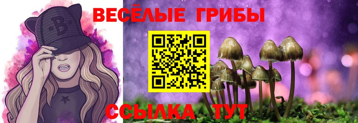 Псилоцибиновые грибы Psilocybine cubensis  Вход с VPN  Томск 