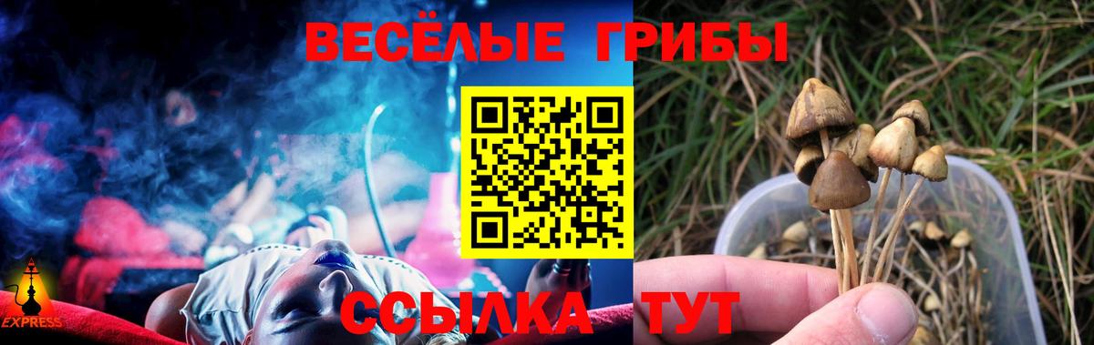 Псилоцибиновые грибы Magic Shrooms Томск